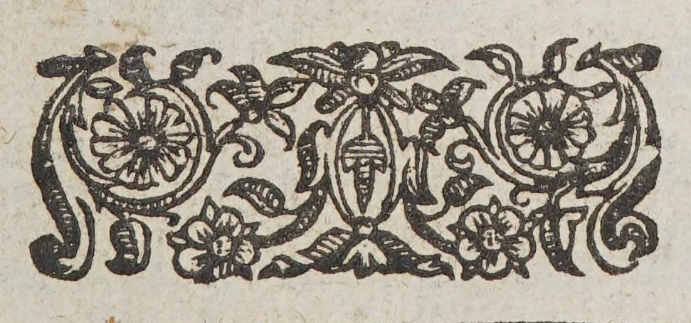 An illustration from The world encompassed by Sir Francis Drake. : Being his next voyage to that to Nombre de Dios, formerly imprinted;, 1635, leaf 11