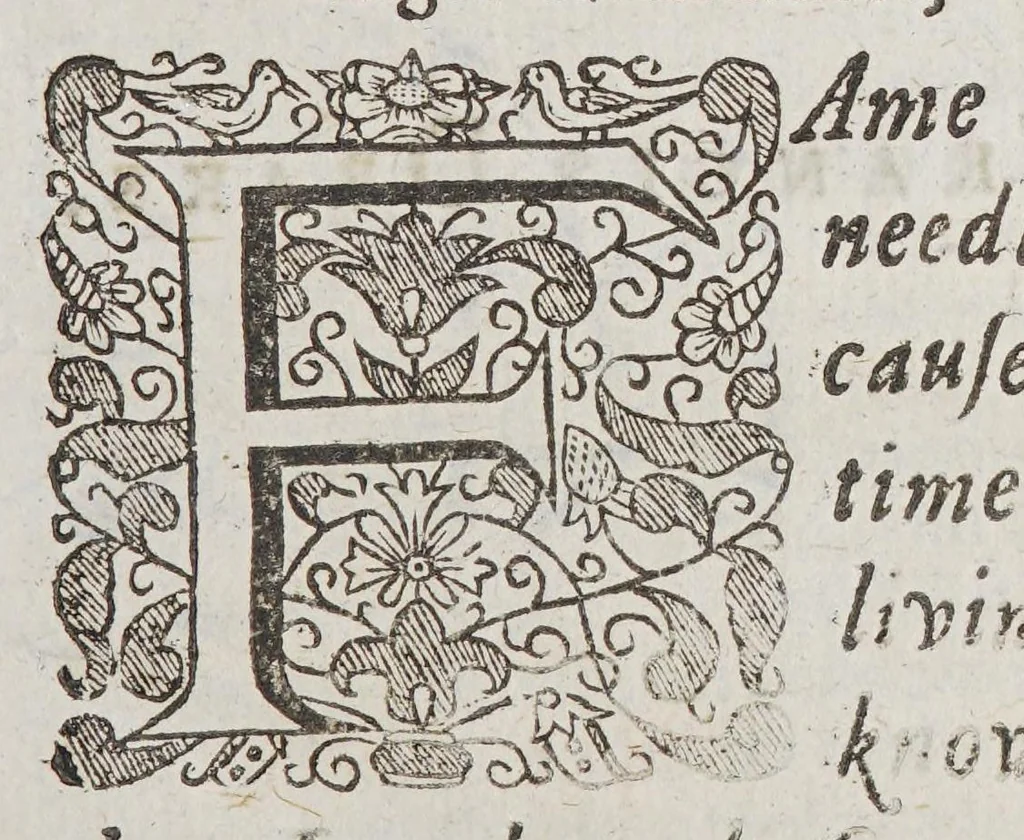 An illustration from The world encompassed by Sir Francis Drake. : Being his next voyage to that to Nombre de Dios, formerly imprinted;, 1635, leaf 13