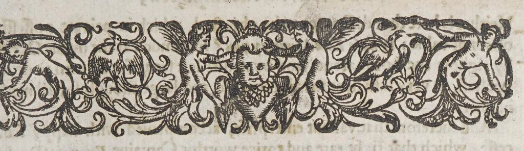 An illustration from The world encompassed by Sir Francis Drake. : Being his next voyage to that to Nombre de Dios, formerly imprinted;, 1635, leaf 15