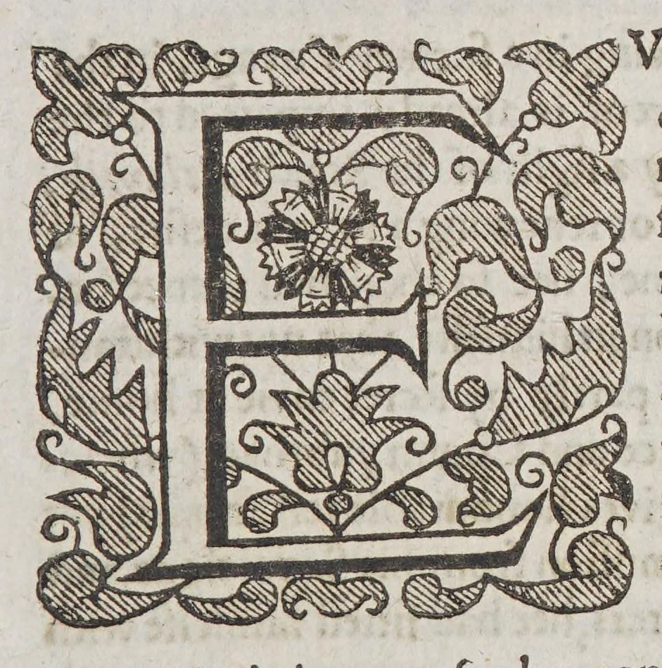 An illustration from The world encompassed by Sir Francis Drake. : Being his next voyage to that to Nombre de Dios, formerly imprinted;, 1635, leaf 15