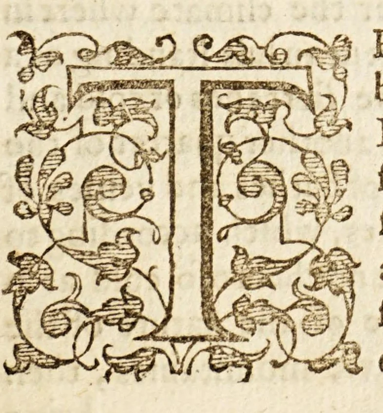 An illustration from The worlde, or an historicall description of the most famous kingdomes and common-weals, therein. : Relating their scituations, manners ..., 1601, leaf 19