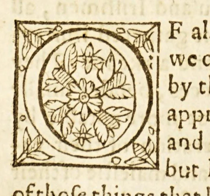 An illustration from The worlde, or an historicall description of the most famous kingdomes and common-weals, therein. : Relating their scituations, manners ..., 1601, leaf 36