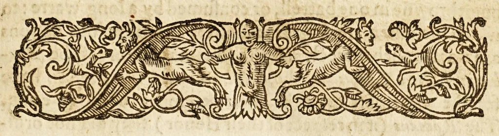 An illustration from The worlde, or an historicall description of the most famous kingdomes and common-weals, therein. : Relating their scituations, manners ..., 1601, leaf 7