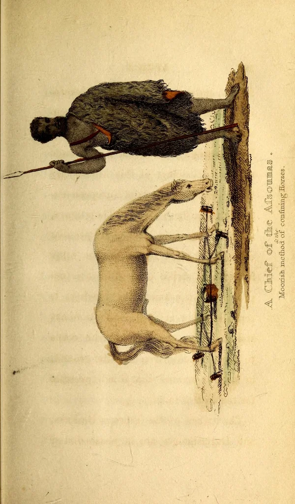 An illustration from The world in miniature;, 1821, leaf 55