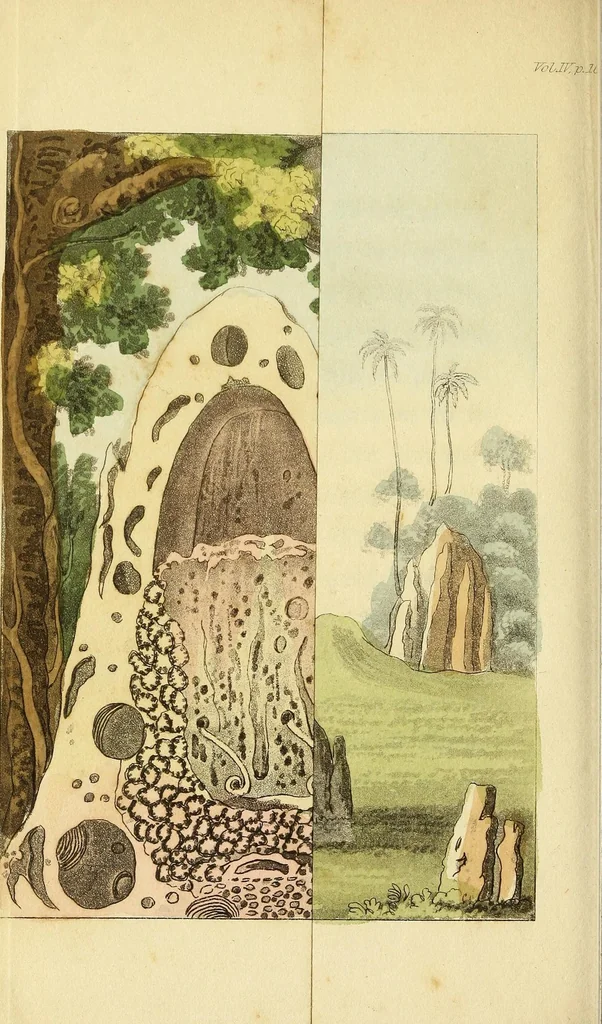 An illustration from The world in miniature;, 1821, leaf 396