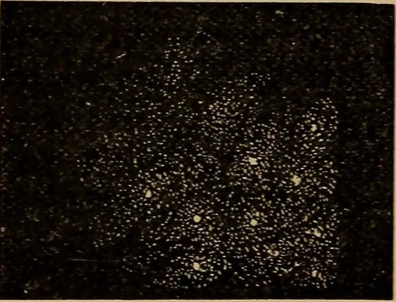 An illustration from World-life; or, Comparative geology, 1883, leaf 135