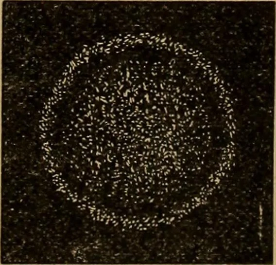 An illustration from World-life; or, Comparative geology, 1883, leaf 142
