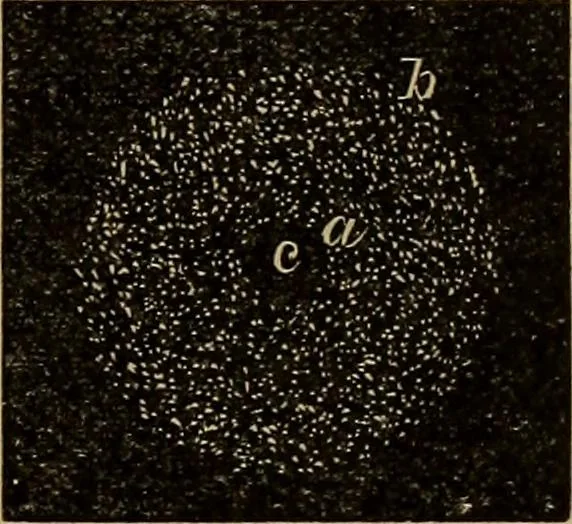 An illustration from World-life; or, Comparative geology, 1883, leaf 146