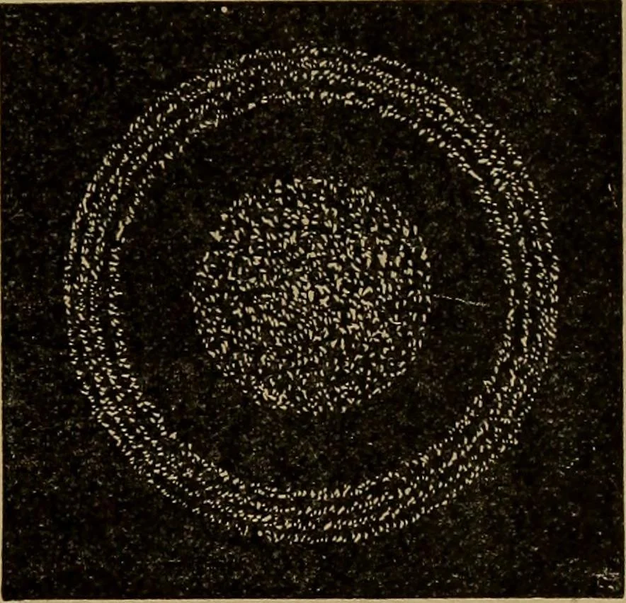An illustration from World-life; or, Comparative geology, 1883, leaf 148