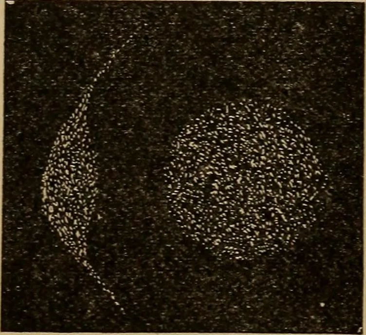 An illustration from World-life; or, Comparative geology, 1883, leaf 149