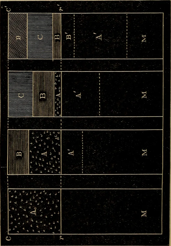 An illustration from World-life; or, Comparative geology, 1883, leaf 305
