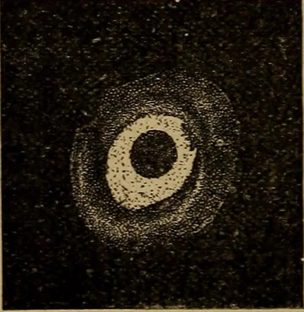 An illustration from World-life; or, Comparative geology, 1883, leaf 75