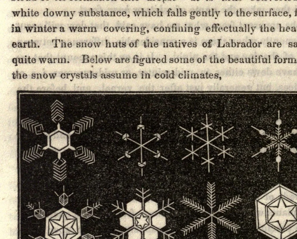 An illustration from The world: or, first lessons in astronomy and geology, in connetion with the present and past condition of our globe.., 1848, leaf 146