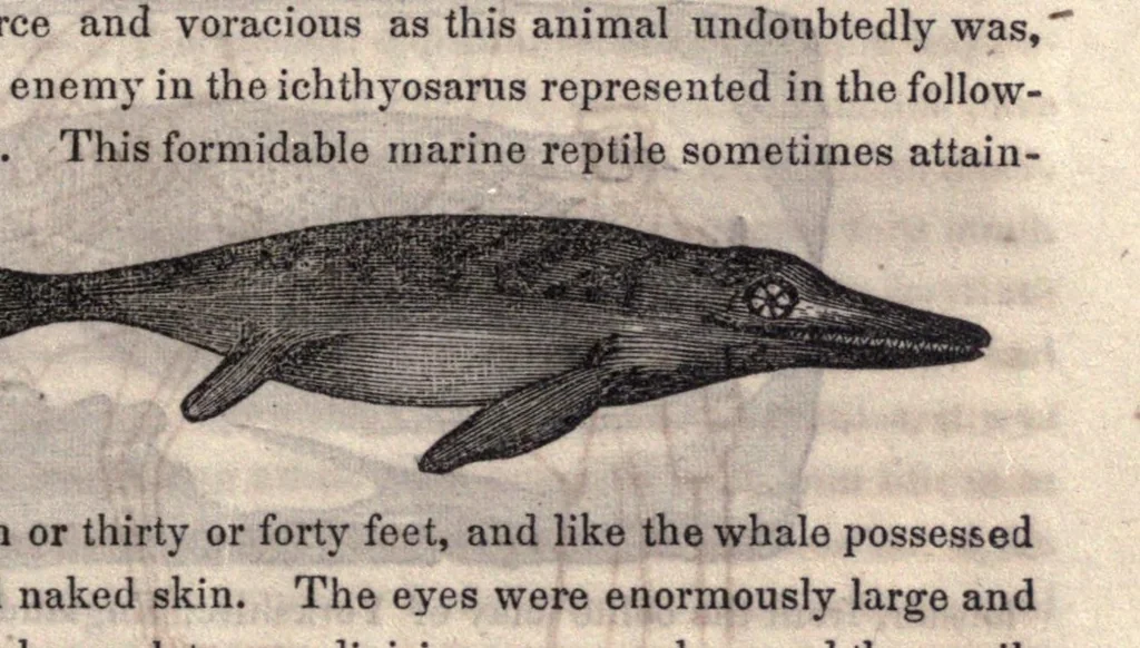 An illustration from The world: or, first lessons in astronomy and geology, in connetion with the present and past condition of our globe.., 1848, leaf 319
