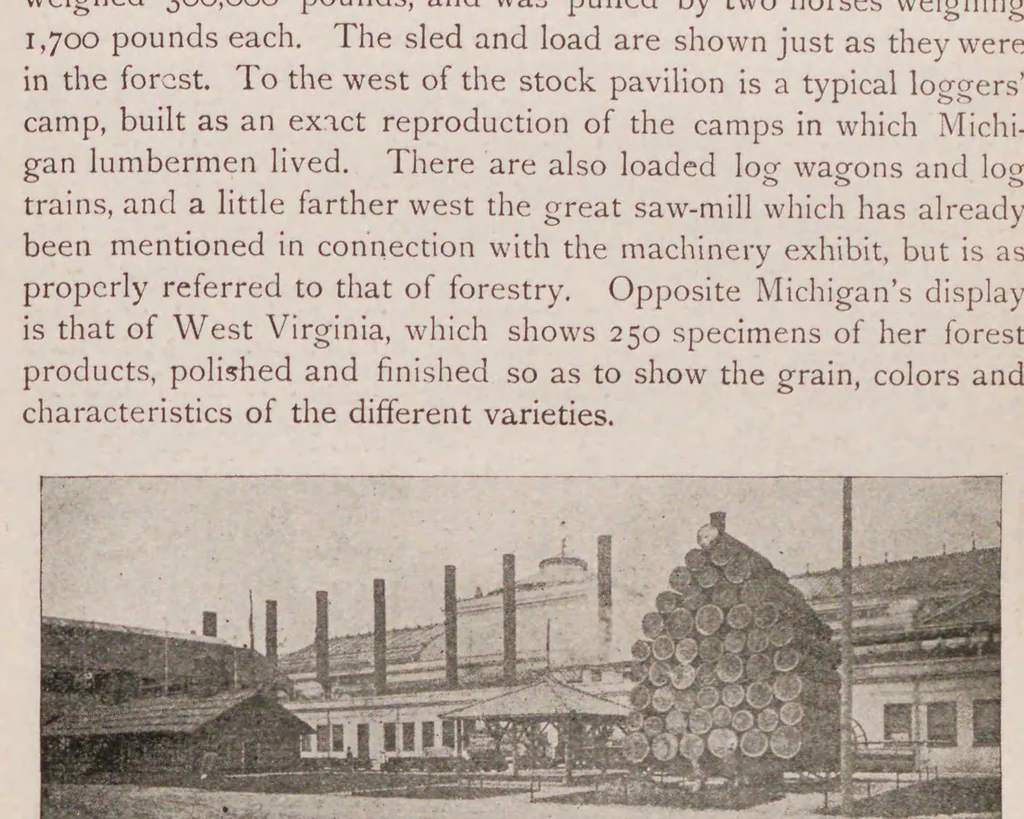 An illustration from The world's Columbian exposition, Chicago, 1893 : a complete history of the enterprise, a full description of the buildings and exhibits in all departments and a short account of previous expositions, 1893, leaf 192