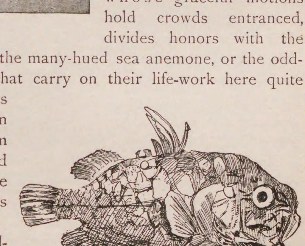 An illustration from The world's Columbian exposition, Chicago, 1893 : a complete history of the enterprise, a full description of the buildings and exhibits in all departments and a short account of previous expositions, 1893, leaf 218