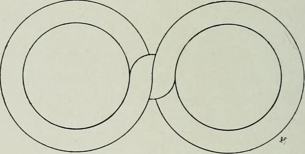 An illustration from Wormharmonie, 1912, leaf 125