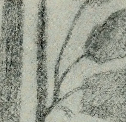 An illustration from Wormharmonie, 1912, leaf 130