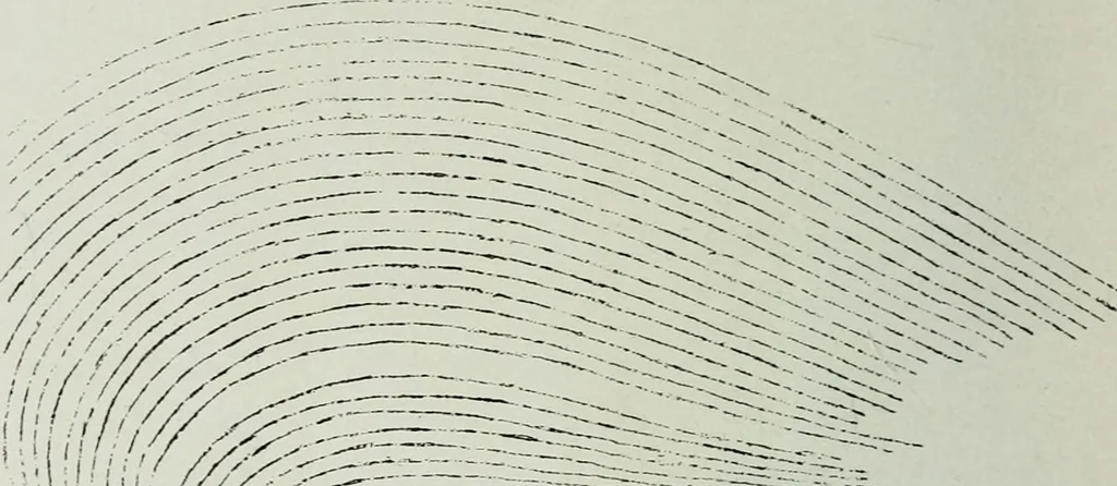 An illustration from Wormharmonie, 1912, leaf 177