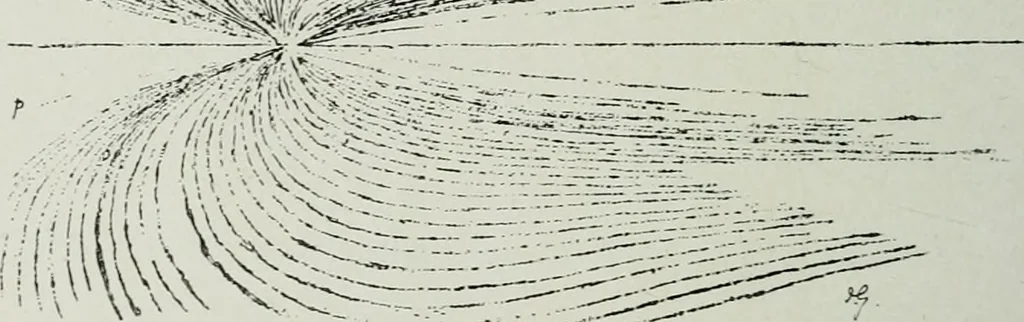An illustration from Wormharmonie, 1912, leaf 177