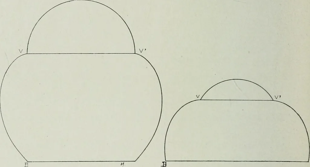 An illustration from Wormharmonie, 1912, leaf 193
