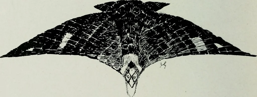 An illustration from Wormharmonie, 1912, leaf 201