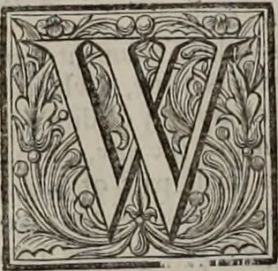 An illustration from The works of the Reverend and learned John Lightfoot, D.D. .., 1684, leaf 301
