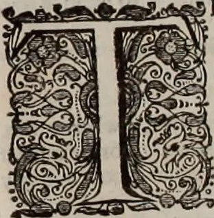 An illustration from The works of the Reverend and learned John Lightfoot, D.D. .., 1684, leaf 973