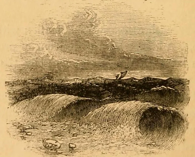 An illustration from Wreck of the "London.", 1866, leaf 106