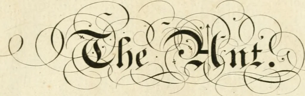 An illustration from Writing and drawing made easy, amusing and instructive : containing the whole alphabet in all the characters now us'd, both in printing and penmanship : each illustrated by emblematic devices and moral copies : calculated for the user of schools and curiously engraved by the best hands ..., 1750, leaf 16