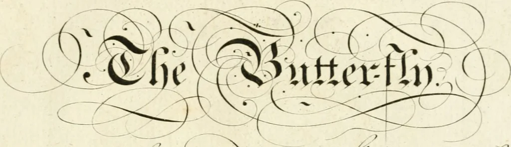 An illustration from Writing and drawing made easy, amusing and instructive : containing the whole alphabet in all the characters now us'd, both in printing and penmanship : each illustrated by emblematic devices and moral copies : calculated for the user of schools and curiously engraved by the best hands ..., 1750, leaf 20