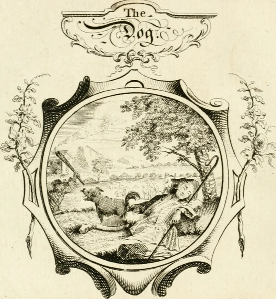 An illustration from Writing and drawing made easy, amusing and instructive : containing the whole alphabet in all the characters now us'd, both in printing and penmanship : each illustrated by emblematic devices and moral copies : calculated for the user of schools and curiously engraved by the best hands ..., 1750, leaf 27