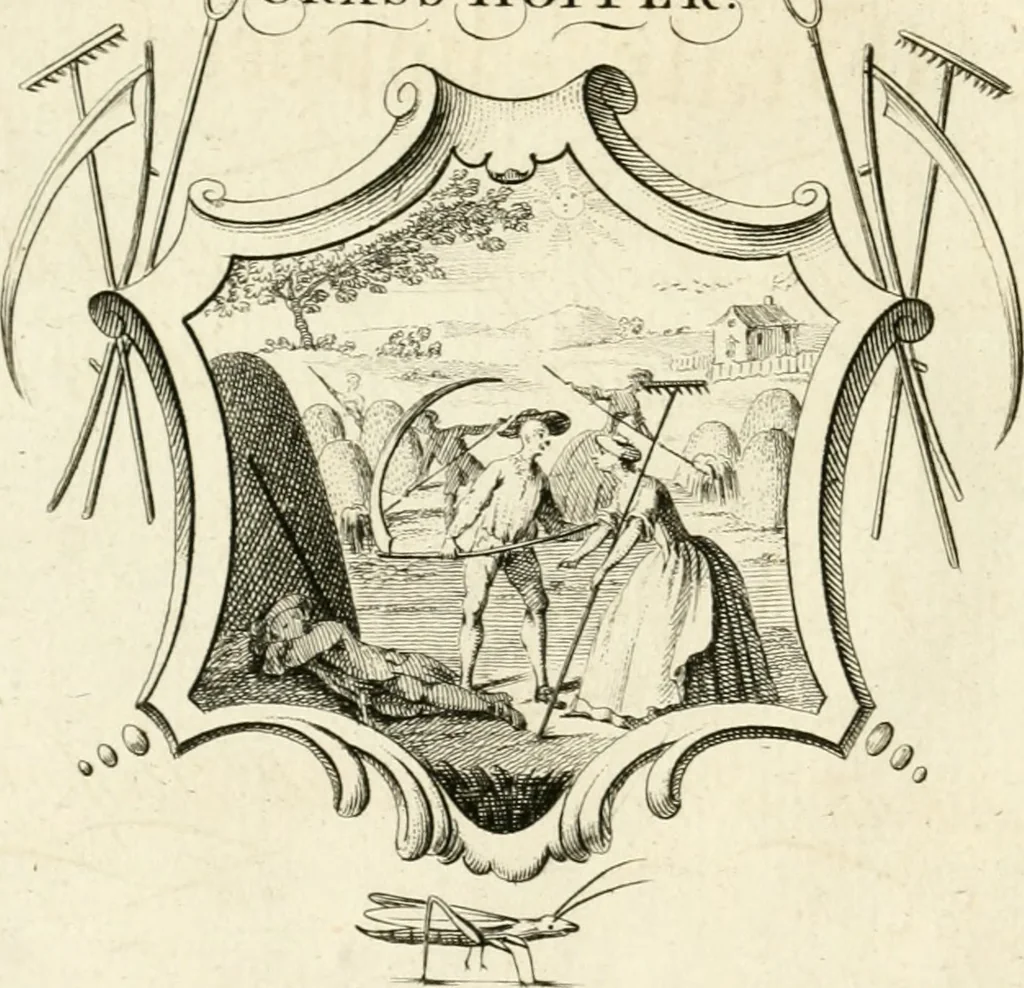 An illustration from Writing and drawing made easy, amusing and instructive : containing the whole alphabet in all the characters now us'd, both in printing and penmanship : each illustrated by emblematic devices and moral copies : calculated for the user of schools and curiously engraved by the best hands ..., 1750, leaf 39