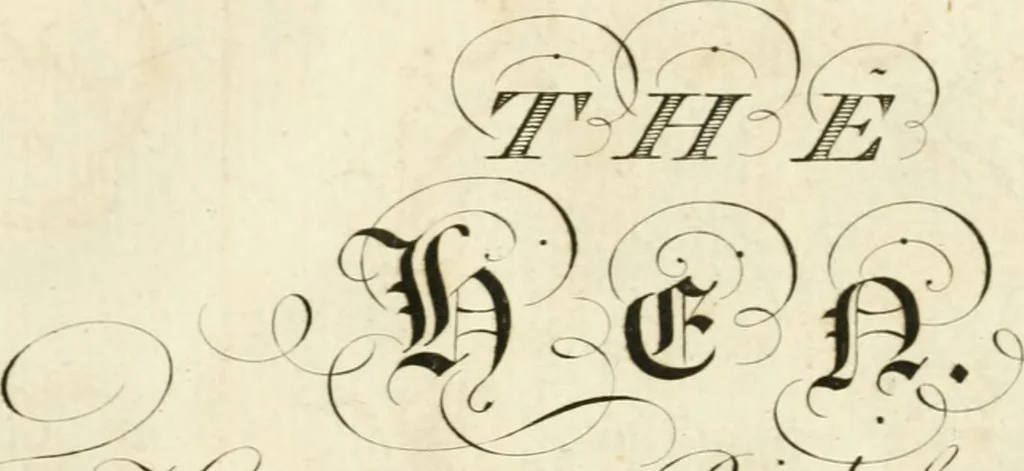 An illustration from Writing and drawing made easy, amusing and instructive : containing the whole alphabet in all the characters now us'd, both in printing and penmanship : each illustrated by emblematic devices and moral copies : calculated for the user of schools and curiously engraved by the best hands ..., 1750, leaf 44