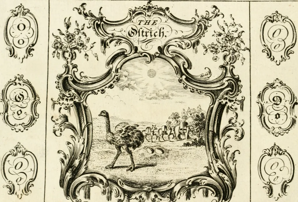 An illustration from Writing and drawing made easy, amusing and instructive : containing the whole alphabet in all the characters now us'd, both in printing and penmanship : each illustrated by emblematic devices and moral copies : calculated for the user of schools and curiously engraved by the best hands ..., 1750, leaf 67