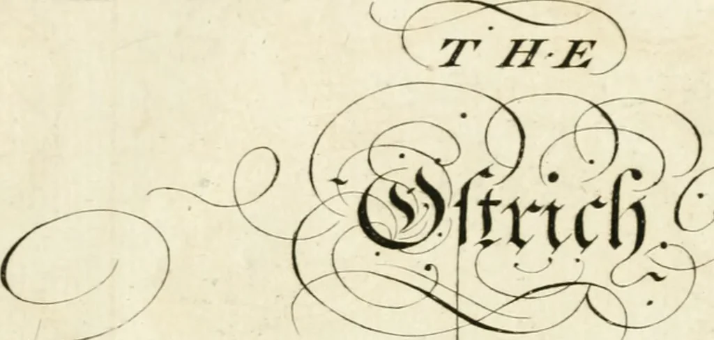 An illustration from Writing and drawing made easy, amusing and instructive : containing the whole alphabet in all the characters now us'd, both in printing and penmanship : each illustrated by emblematic devices and moral copies : calculated for the user of schools and curiously engraved by the best hands ..., 1750, leaf 68