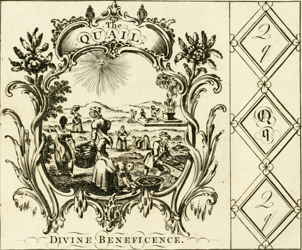 An illustration from Writing and drawing made easy, amusing and instructive : containing the whole alphabet in all the characters now us'd, both in printing and penmanship : each illustrated by emblematic devices and moral copies : calculated for the user of schools and curiously engraved by the best hands ..., 1750, leaf 75