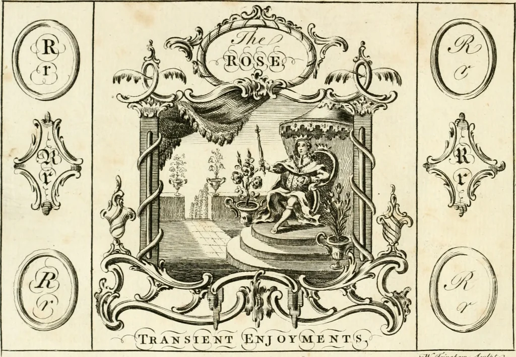 An illustration from Writing and drawing made easy, amusing and instructive : containing the whole alphabet in all the characters now us'd, both in printing and penmanship : each illustrated by emblematic devices and moral copies : calculated for the user of schools and curiously engraved by the best hands ..., 1750, leaf 79
