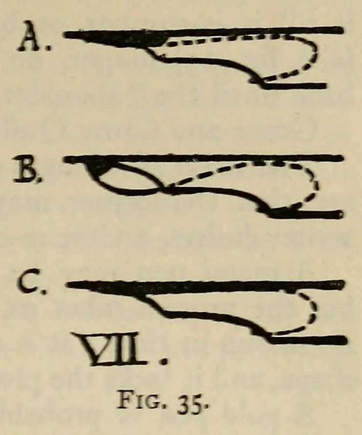 An illustration from Writing & illuminating, & lettering, 1906, leaf 65