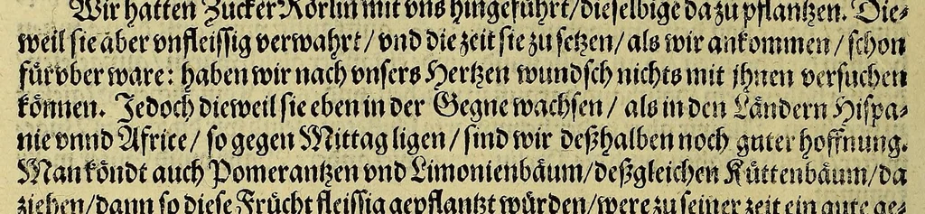 An illustration from Wunderbarliche, doch warhafftige Erklärung, von der Gelegenheit vnd Sitten der Wilden in Virginia, welche newlich von den Engelländern, so im Jar 1585. : vom Herrn Reichard Greinuile, einem von der Ritterschafft, in gemeldte Landschafft die zu bewohnen geführt waren, ist erfunden worden, in Verlegung H. Walter Raleigh, Ritter vnd Obersten dess Zinbergwercks, auss vergünstigung der Durchleuchtigsten vnnd Vnvberwindlichsten, Elizabeth, Königin in Engelland, &c., 1590, leaf 20