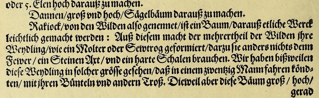 An illustration from Wunderbarliche, doch warhafftige Erklärung, von der Gelegenheit vnd Sitten der Wilden in Virginia, welche newlich von den Engelländern, so im Jar 1585. : vom Herrn Reichard Greinuile, einem von der Ritterschafft, in gemeldte Landschafft die zu bewohnen geführt waren, ist erfunden worden, in Verlegung H. Walter Raleigh, Ritter vnd Obersten dess Zinbergwercks, auss vergünstigung der Durchleuchtigsten vnnd Vnvberwindlichsten, Elizabeth, Königin in Engelland, &c., 1590, leaf 30