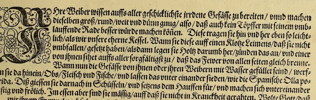 An illustration from Wunderbarliche, doch warhafftige Erklärung, von der Gelegenheit vnd Sitten der Wilden in Virginia, welche newlich von den Engelländern, so im Jar 1585. : vom Herrn Reichard Greinuile, einem von der Ritterschafft, in gemeldte Landschafft die zu bewohnen geführt waren, ist erfunden worden, in Verlegung H. Walter Raleigh, Ritter vnd Obersten dess Zinbergwercks, auss vergünstigung der Durchleuchtigsten vnnd Vnvberwindlichsten, Elizabeth, Königin in Engelland, &c., 1590, leaf 83