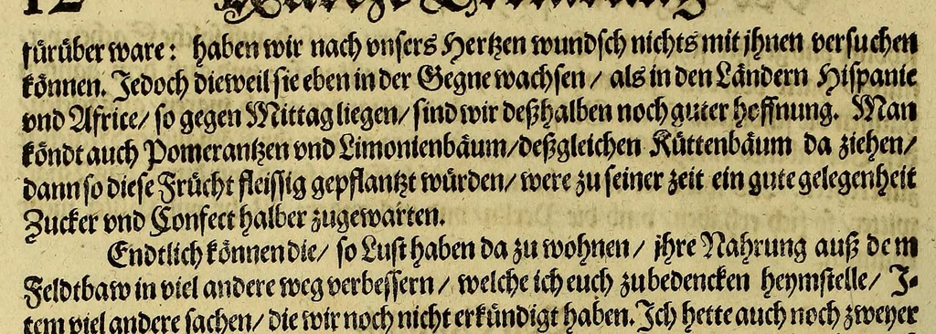 An illustration from Wunderbarliche, doch warhafftige Erklärung, von der Gelegenheit vnd Sitten der Wilden in Virginia, welche newlich von den Engelländern, so im Jahr 1585. : vom Herrn Reichard Greinuile, einem von der Ritterschafft, in gemeldte Landschafft die zubewohnen geführet waren, ist erfunden worden, in Vorlegung H. Walter Ralegh, Ritter vnd Obersten dess Zinnbergwercks, auss Vergünstigung der Durchleuchtigsten vnd Vnvberwindlichsten, Elisabeth, Königin in Engelland, &c., 1620, leaf 20