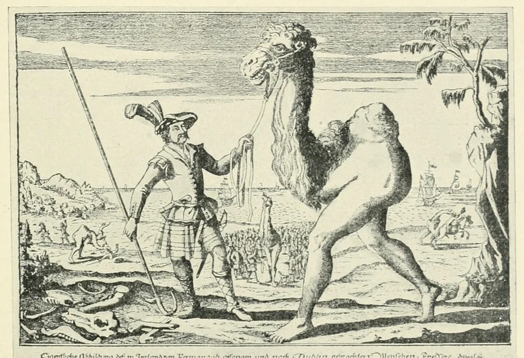 An illustration from Wunder, Wundergeburt und Wundergestalt in Einblattdrucken des fünfzehnten bis achtzehnten Jahrhunderts; kulturhistorische Studie, 1921, leaf 207