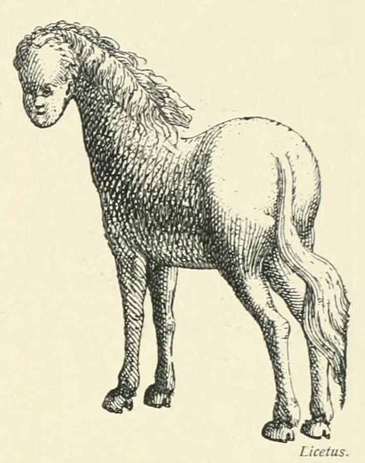 An illustration from Wunder, Wundergeburt und Wundergestalt in Einblattdrucken des fünfzehnten bis achtzehnten Jahrhunderts; kulturhistorische Studie, 1921, leaf 327