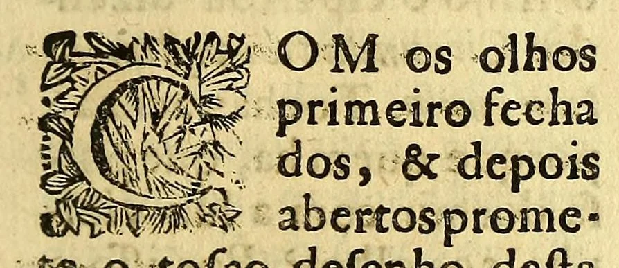 An illustration from Xavier dormindo, e Xavier acordado: : dormindo, em tres oraçoens panegyricas no triduo da sua festa, acordado, em doze sermoens panegyricos, moraes, & asceticos, os nove da sua novena, o decimo da sua canonizaçaõ, o undecimo do seu dia, o ultimo do seu patrocinio,, 1694, leaf 29