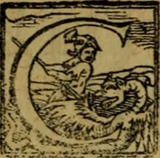 An illustration from XII. primorvm Caesarvm et LXIIII ipsorvm vxorvm et parentum ex antiquis numismatibus, in aere incisae, effigies : atque eorundem earundemque vitae & res gestae, ex varijs authoribus collectae per Levinvm Hvlsivm .., 1597, leaf 114