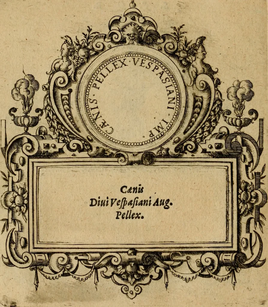 An illustration from XII. primorvm Caesarvm et LXIIII ipsorvm vxorvm et parentum ex antiquis numismatibus, in aere incisae, effigies : atque eorundem earundemque vitae & res gestae, ex varijs authoribus collectae per Levinvm Hvlsivm .., 1597, leaf 187