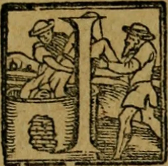 An illustration from XII. primorvm Caesarvm et LXIIII ipsorvm vxorvm et parentum ex antiquis numismatibus, in aere incisae, effigies : atque eorundem earundemque vitae & res gestae, ex varijs authoribus collectae per Levinvm Hvlsivm .., 1597, leaf 74