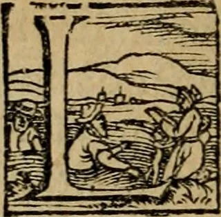 An illustration from XII. primorvm Caesarvm et LXIIII ipsorvm vxorvm et parentum ex antiquis numismatibus, in aere incisae, effigies : atque eorundem earundemque vitae & res gestae, ex varijs authoribus collectae per Levinvm Hvlsivm .., 1597, leaf 87